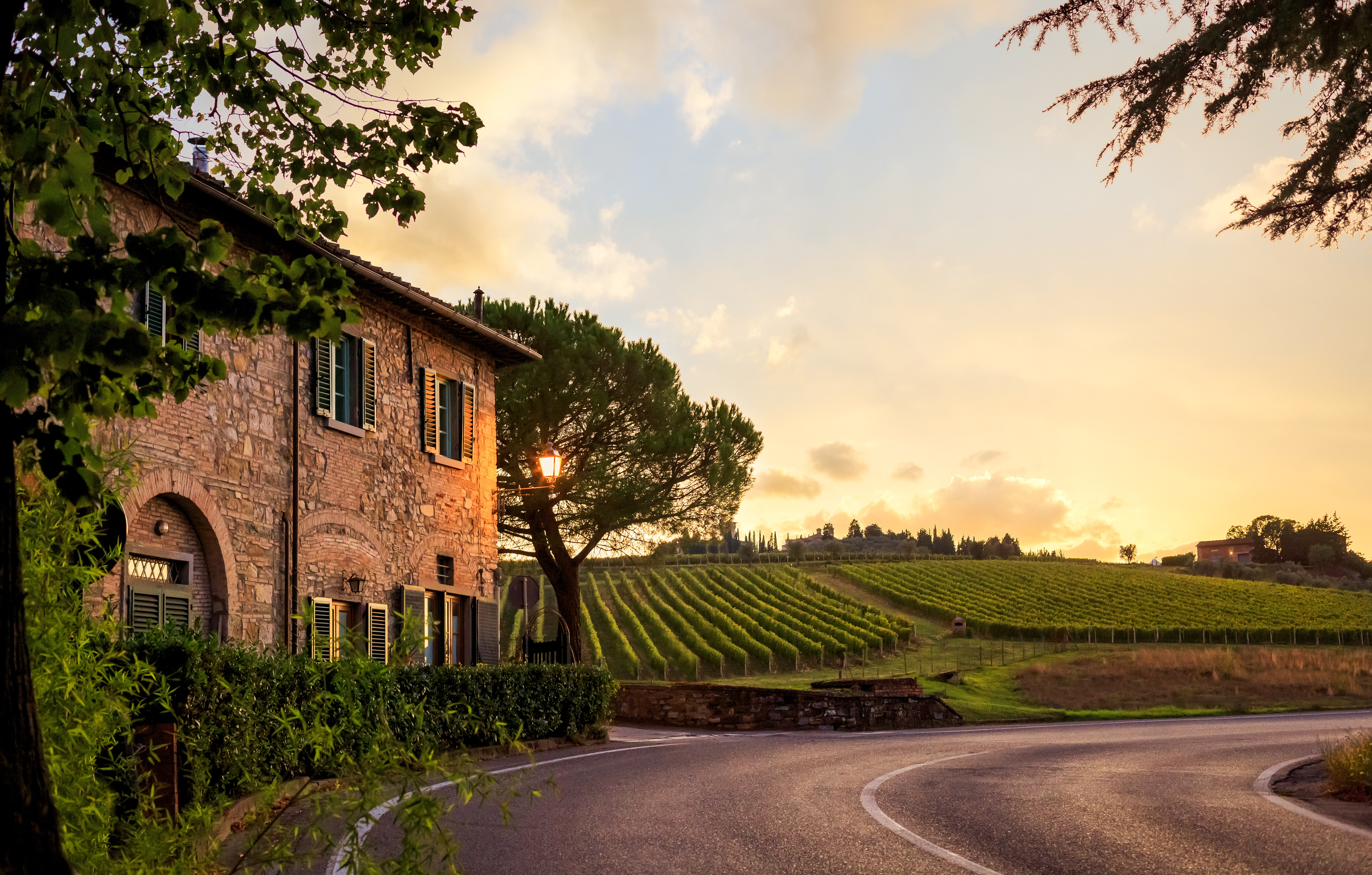 A winery tasting room next to vineyards during a sunset.